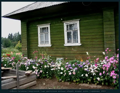 Как красиво оформить палисадник возле частного дома 🌼 | Школа садовода |  Дзен