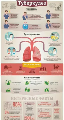 Как передается и лечится туберкулез у взрослых: симптомы проявления, пути  передачи, тесты и анализы на туберкулез, лечение