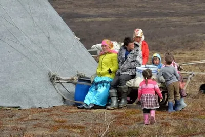 Как моются, ходят в туалет и рожают детей оленеводы в тундре в -50 °С:  увидела, узнала и рассказываю вам | Путешествия с фотокамерой | Дзен