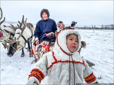 Между жизнью и музеем – Власть – Коммерсантъ