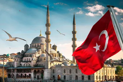 СМИ: власти Турции приостановили выдачу ВНЖ в Стамбуле для иностранцев -  РИА Новости, 16.07.2023