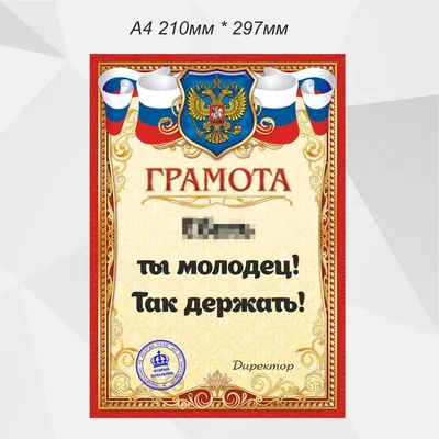 Грамота в подарок Новый год, Универсальный - купить по выгодной цене в  интернет-магазине OZON (654578826)