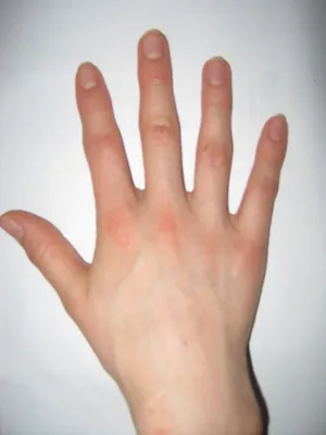 Тыльная сторона руки в формате PNG