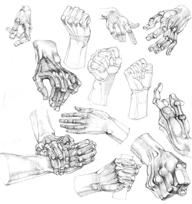 Тыльная сторона руки: изображение для скачивания
