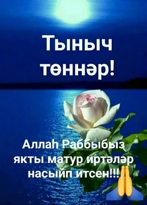 Тыныч тоннэр - фото - pictx.ru