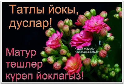 Тыныч тоннэр - фото - pictx.ru