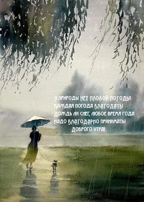 У природы нет плохой погоды» 2023, Лискинский район — дата и место  проведения, программа мероприятия.