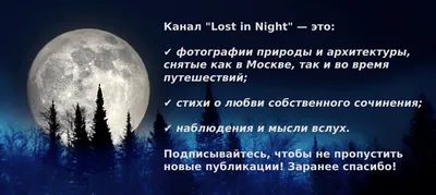 Подведены итоги конкурса «У природы нет плохой погоды» | Русское  географическое общество