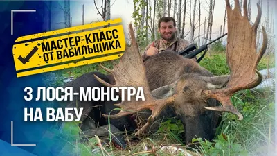 Гайд по убойным местам : Охота : Guns.ru Talks