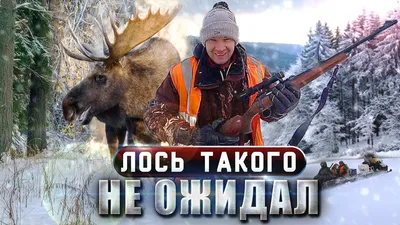 Необычные выстрелы - Охотники.ру