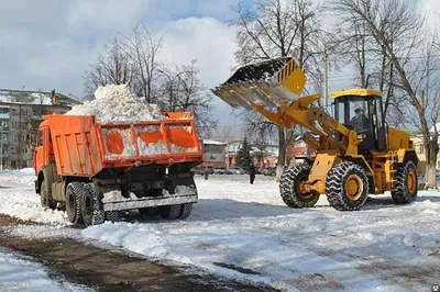 В Хааберсти во дворах пройдёт тщательная уборка снега | Stolitsa.ee -  новостной портал города Таллинн