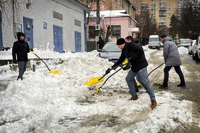 Фотофакт: жители Слуцка вышли на уборку снега - Минская правда