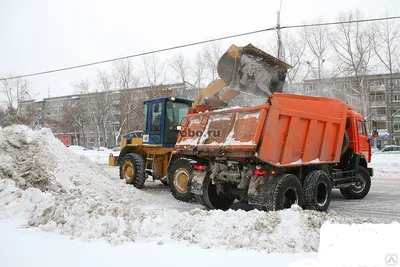 Правила уборки снега в Москве: куда жаловаться, сколько часов должны  чистить улицы, дворы и крыши - KP.RU