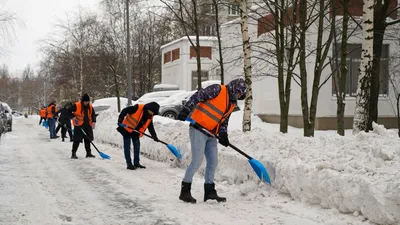 Новгородский «Горхоз» проведёт флешмоб «Снежный десант» на Ильиной улице |  Новгородские Ведомости