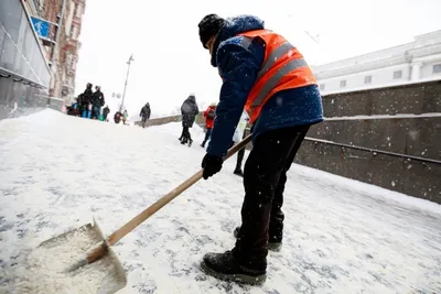 Прокуратура подтвердила обыски в Петербурге из-за плохой уборки снега — РБК