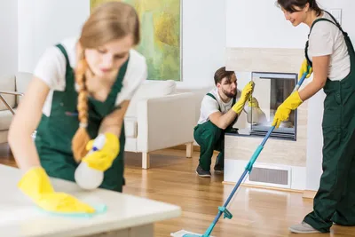 Как проводить уборку в доме, где есть домашние животные? - официальный сайт  ТМ LEBEN