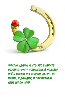 Желаю удачи! А что это значит? | Удача, Надписи, Пасмурный день