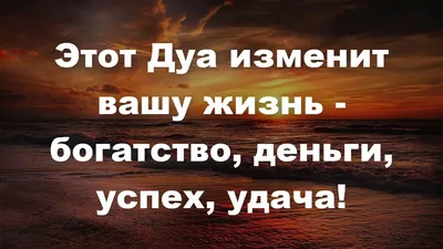 Книга Хвосты удачи. Истории из жизни ветеринарного врача - купить  современной литературы в интернет-магазинах, цены на Мегамаркет |