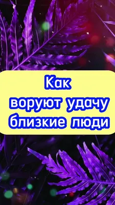 Биохакинг с умом: 8 граней полноценной жизни : Академия Здоровья и Удачи :  Готфрид Сара : 9785171211301 - Troyka Online