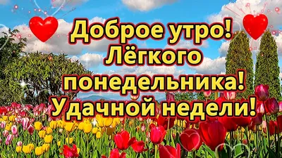 С зимним понедельником с пожеланием удачной недели картинки (33 фото) »  Красивые картинки, поздравления и пожелания - Lubok.club