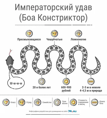 Удав: охотник-невидимка — купить книги на русском языке в Польше на  Booksrus.pl