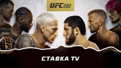 UFC 280: прогнозы на бои, обзор карда и бесплатные трансляции