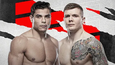 UFC Fight Pass: как смотреть трансляции онлайн в прямом эфире на русском