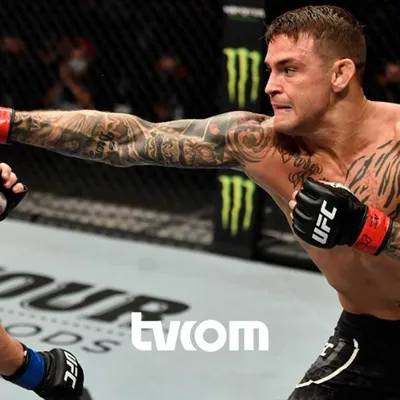 Канал UFC ТВ начнет вещание 20 апреля
