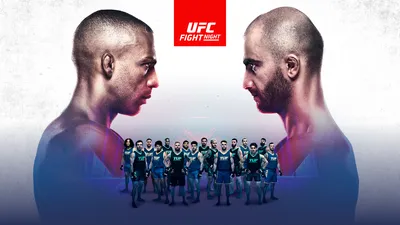 Адесанья - Уиттакер, видео, результат, UFC 243, результаты, видео - 6  октября 2019 - Sport24