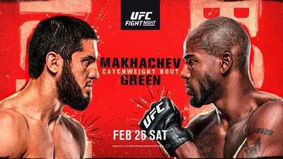 EA SPORTS UFC 3 Beta - фото и скриншоты игры на рабочий стол