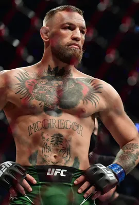 Прогноз боя Сергей Павлович – Кертис Блейдс бой 23 апреля 2023, UFC Fight  Night 222 – ironwin