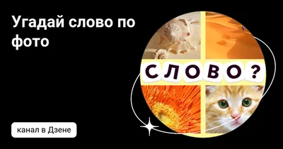 WoWpromo - Мы продолжаем рубрику угадай слово по картинкам! Угадать не  сложно, очень актуальная тема☝️ | Facebook