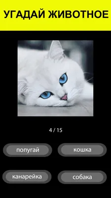Угадай, какое животное изображено на картинке - ePuzzle фотоголоволомка