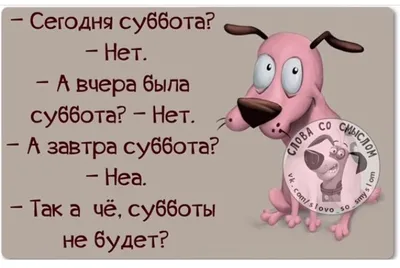 Угарные картинки суббота (50 фото) » Красивые картинки, поздравления и  пожелания - Lubok.club