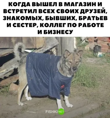 Угарные Картинки фотографии