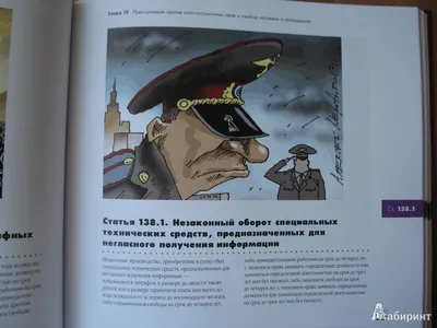 Иллюстрация 25 из 26 для Иллюстрированный Уголовный кодекс РФ | Лабиринт -  книги. Источник: AnnaSanna