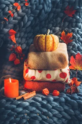 autumn🍁 | Autumn cozy, Christmas aesthetic, Hello autumn