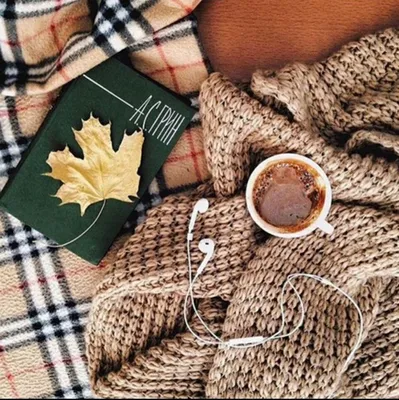 доброе осеннее утро,уютный кофе,осень,осенние листья,картинки пожелания  доброго утра | Доброе утро, Уютный кофе, Осенние листья