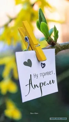 Я устал. Я ухожу...в отпуск! :) — Игромания