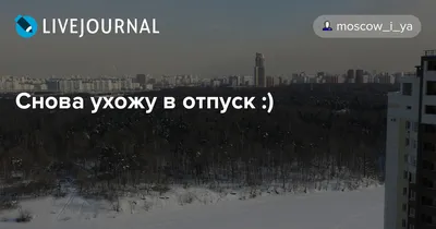 Как уйти в отпуск в 2023 году: когда можно брать отпуск по ТК