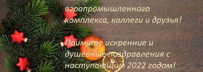 Новогоднее украшение сельских клубов и домов культуры | 20.12.2021 |  Красноармейское - БезФормата