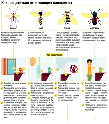 Чем помазать укусы комаров: бальзамы, гели и другие средства для снятия  зуда - Звездочка