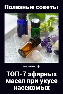 Как защититься от кровососущих насекомых - Советы - РИАМО в Подольске