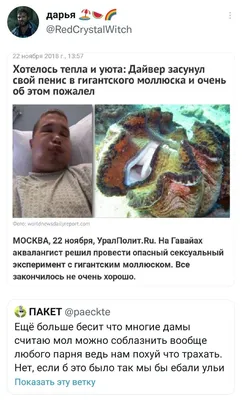 Пчелиный Улей На Дереве В Шриланка Это Натуральный Пчелиный Улей — стоковые  фотографии и другие картинки Животные в дикой природе - iStock