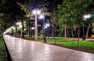 Фото уличного освещения в ночное время суток