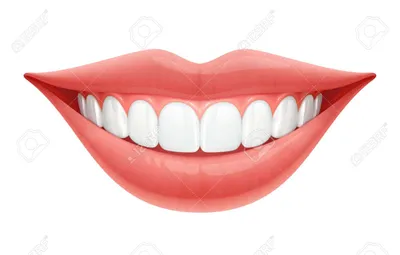 Откуда пошло выражение «Голливудская улыбка»? — Стоматология «Доктор  НеболитЪ»