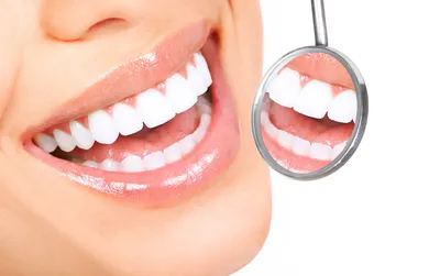 Коррекция арки улыбки и кривой Шпее интрузией с минивинтами - статьи об  ортодонтии, стоматологии, имплантации зубов в СПб