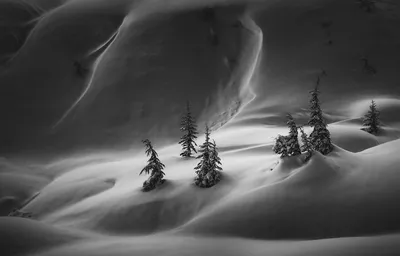 Умиротворяющие зимние пейзажи Хокана Странда (20 фото)
