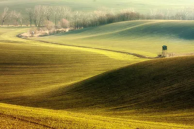 Чёрно-белые умиротворяющие пейзажи [ФОТО]