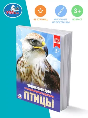 Умка Книги для детей развивающий набор Учимся рисовать 3 в 1